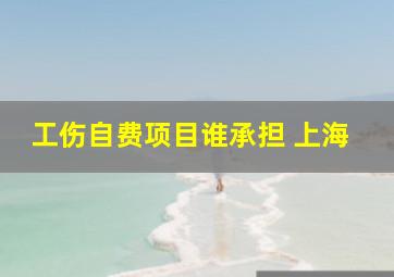 工伤自费项目谁承担 上海